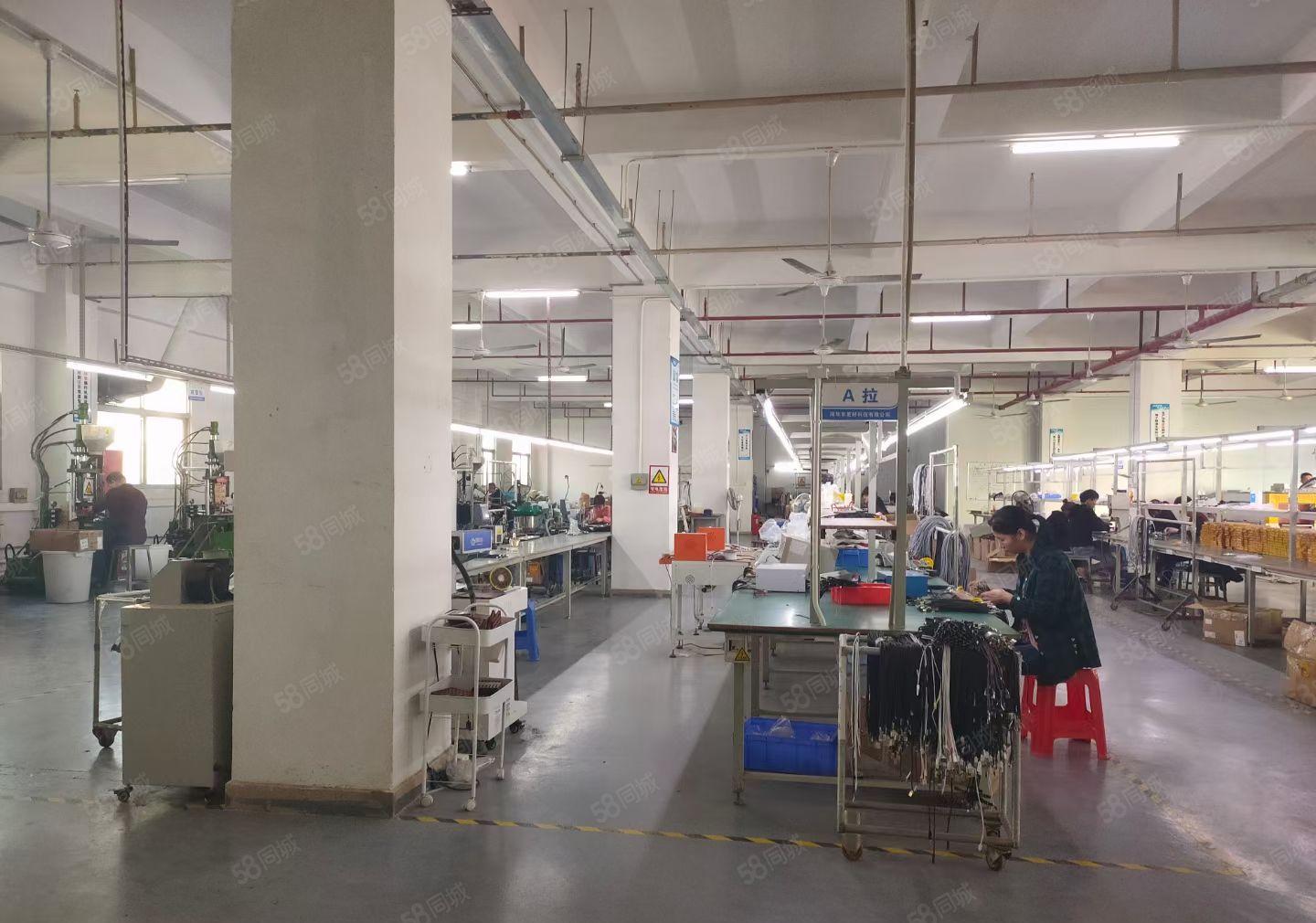 松岗塘下涌独门独院8000平带装修厂房出租