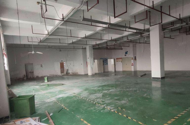 石岩塘头独栋厂房出租现成装修主干道边500平起分租