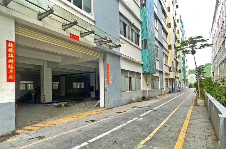 靠兴东 原房东一楼1300平方，租52元平方