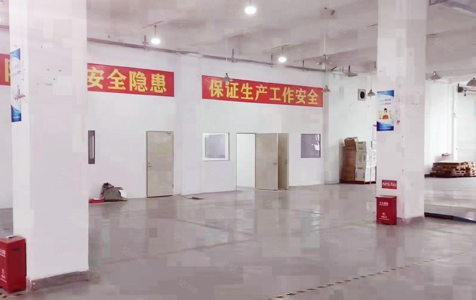 龙华一楼原房东4000平，可做物流仓储，适合多行业