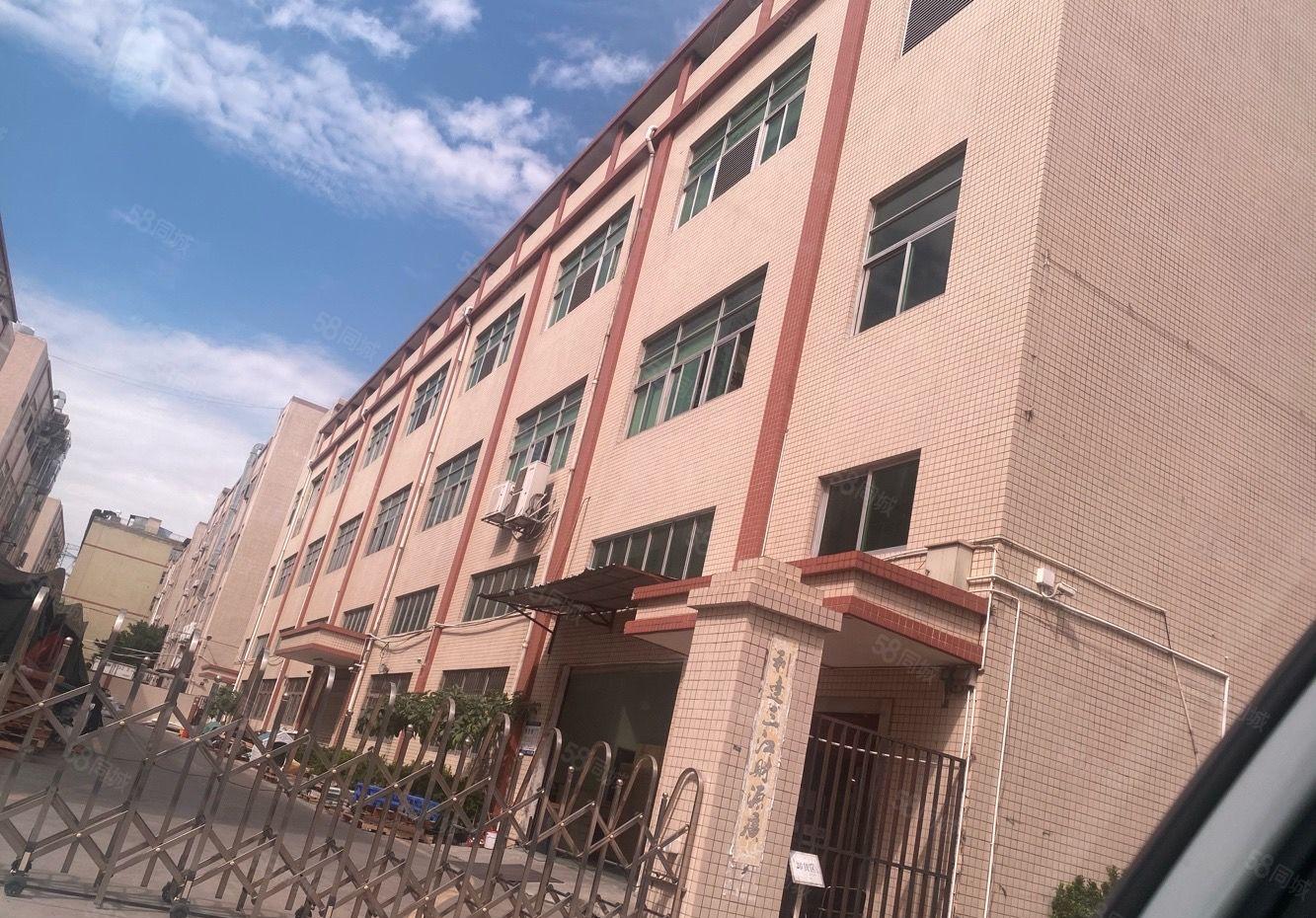 沙井镇共和原房东厂房共8栋50000平大小分组招租