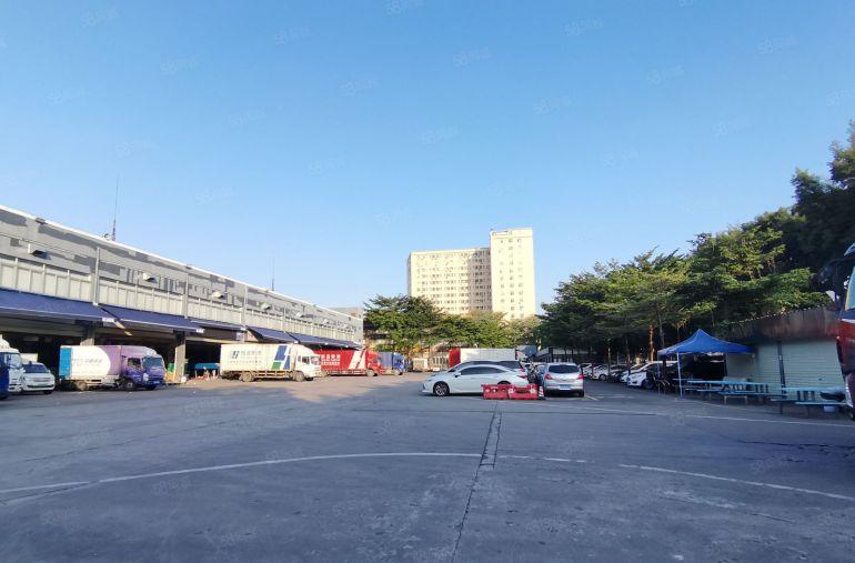 沙井107国道一楼6500平方物流仓库出租500平方起出租