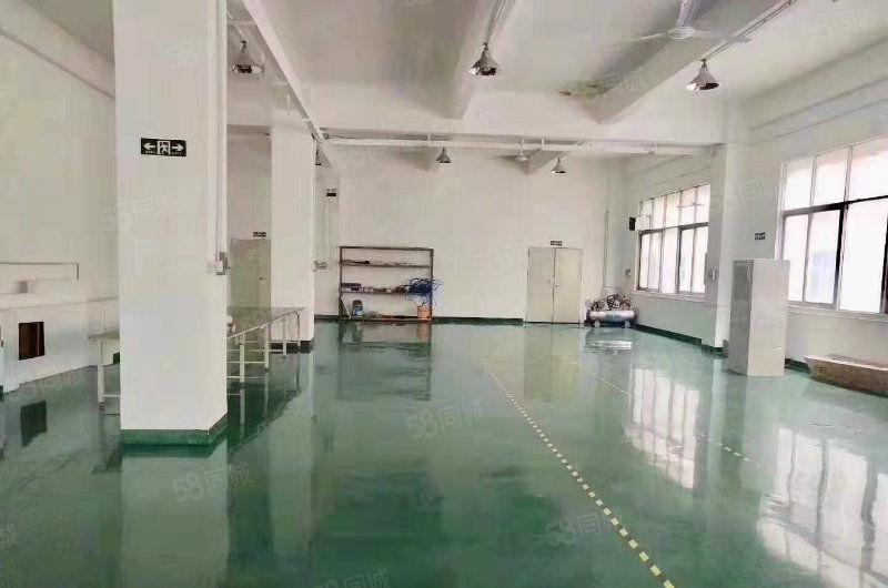 松岗原房东红本独院花园式厂房8000无公摊出租有环评招租