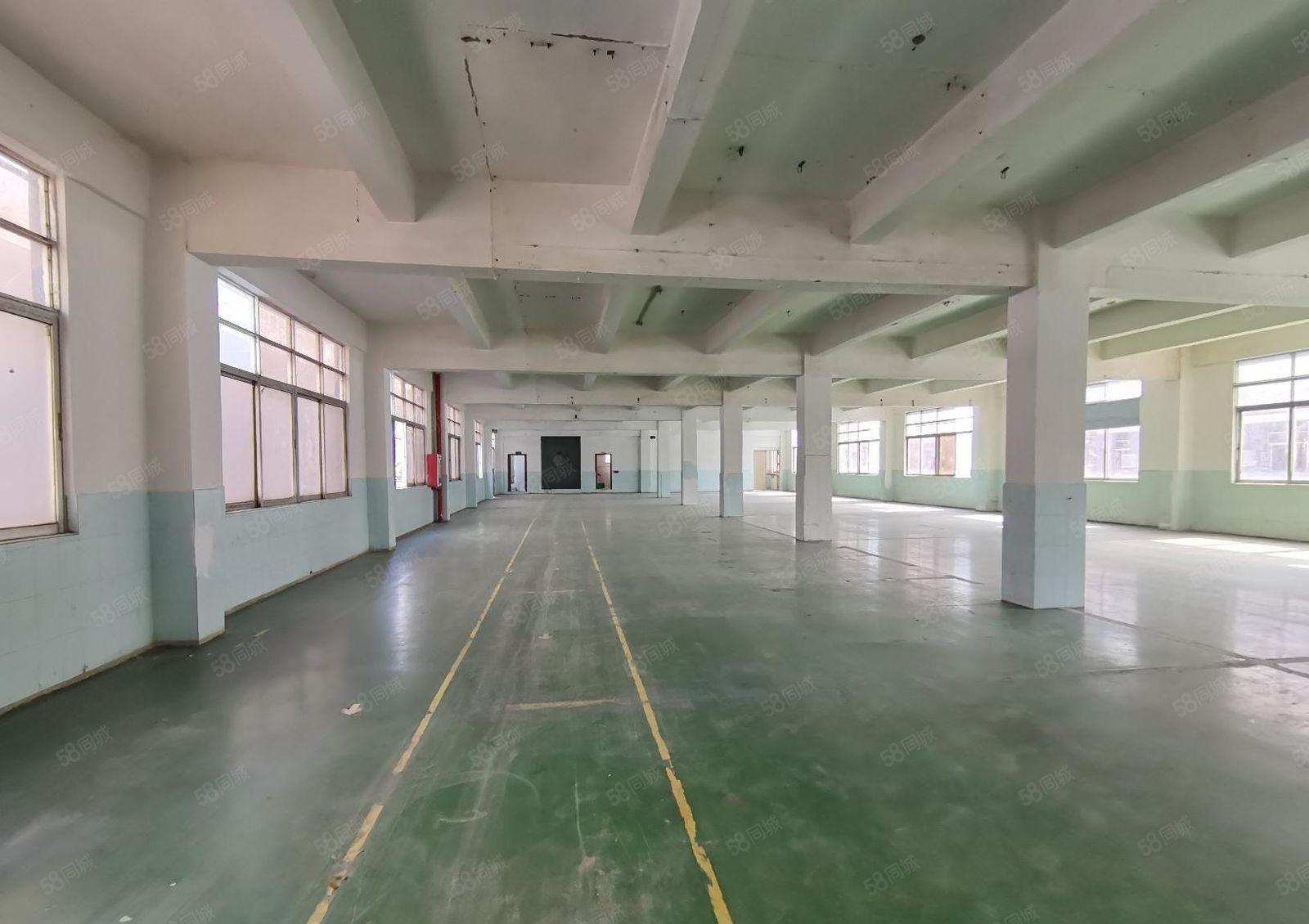 沙井高新区800平至5000平一二楼仓库厂房出租独院可分租