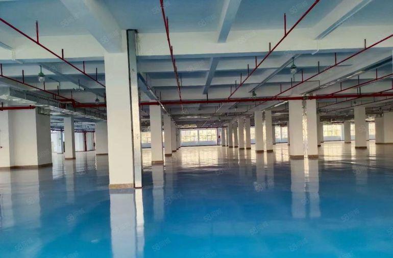 沙井原房东直租6000平独门独院精装办公厂房仓库出租，可分租