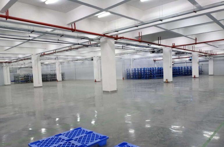 赠！免租期 宝安固戍新出标准厂房 大小面积可分 厂房仓库出租