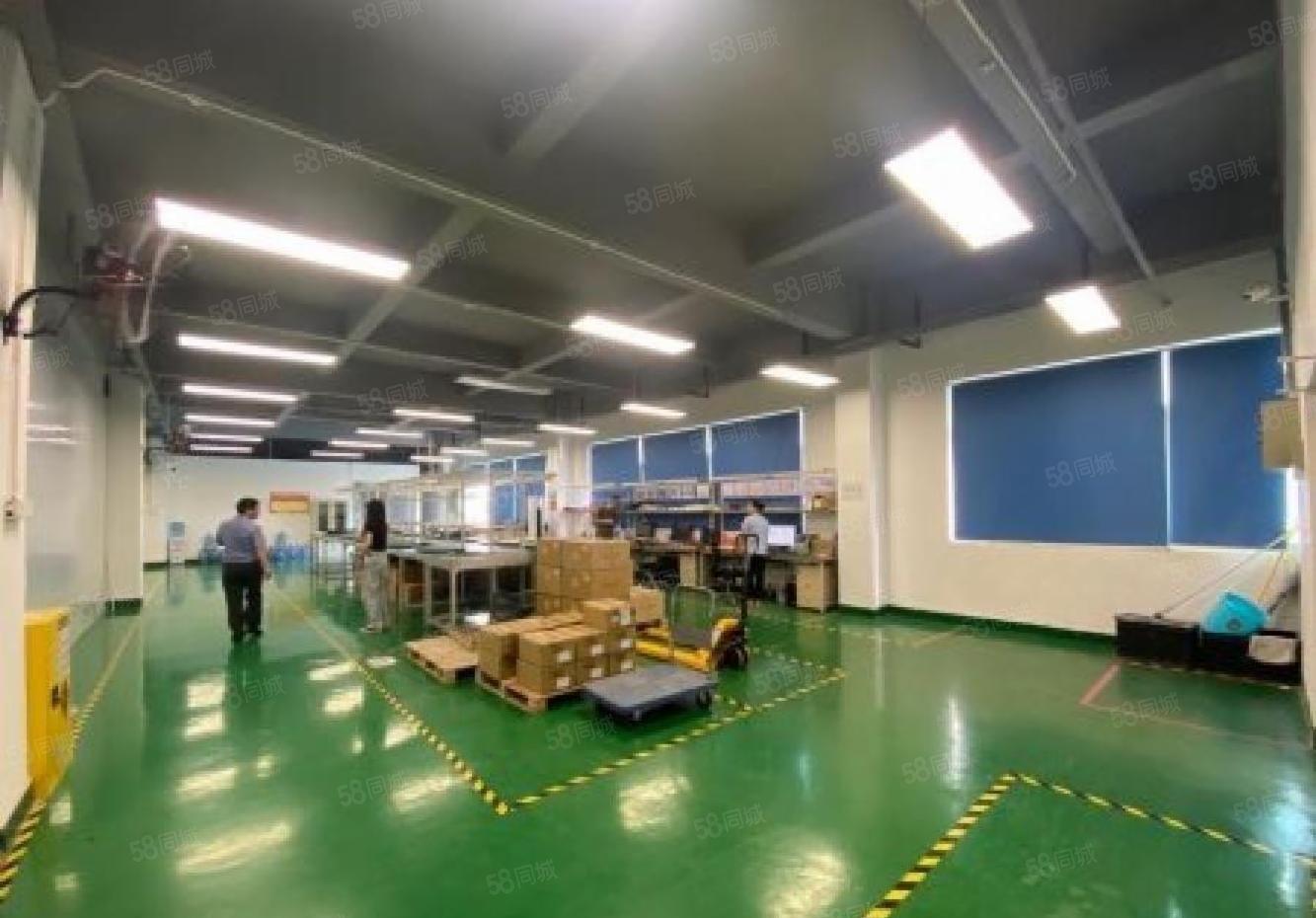 石岩汽车站附近875平方原房东精装修红本厂房出租可分租