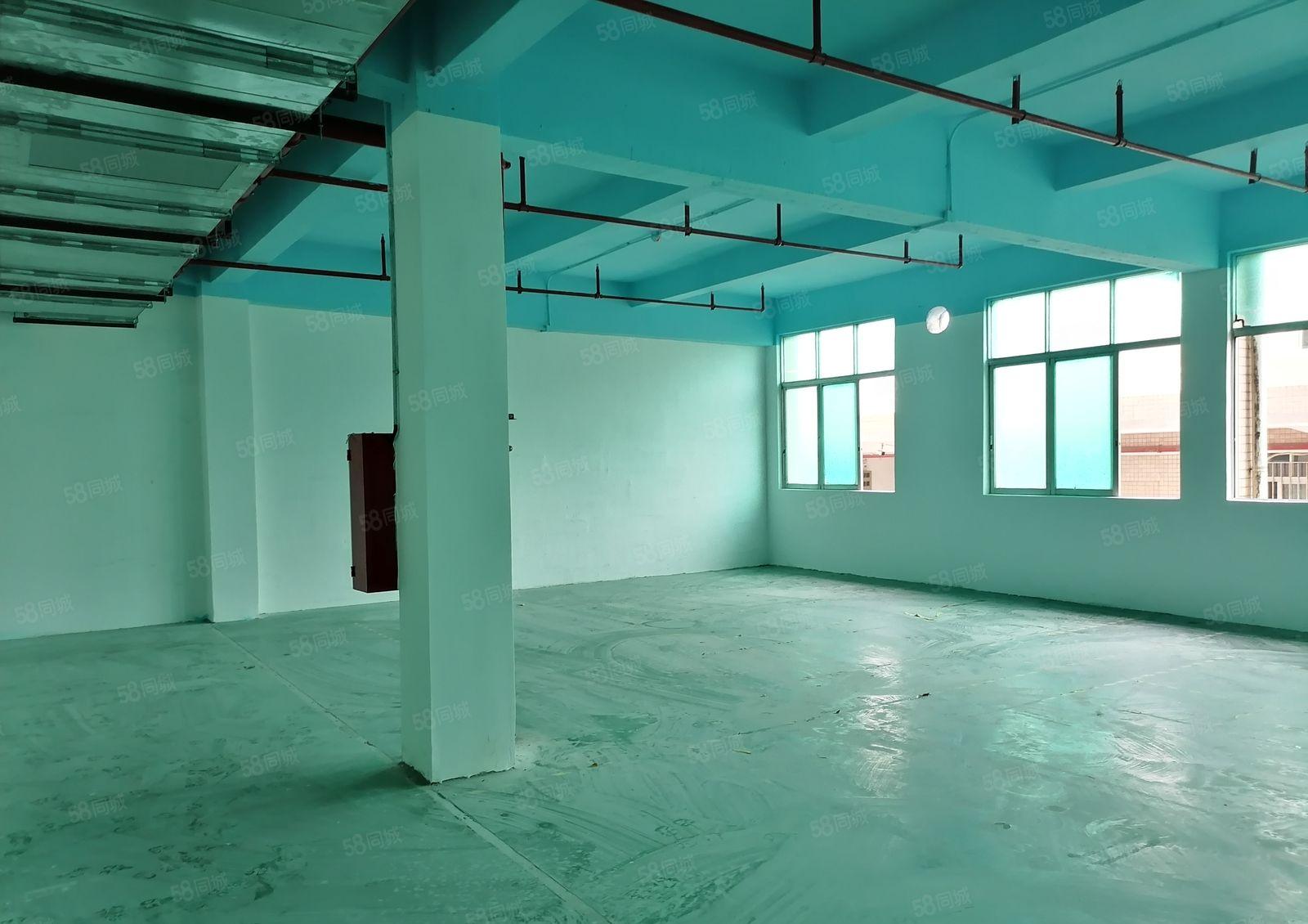 新桥107国道旁厂房大小分租