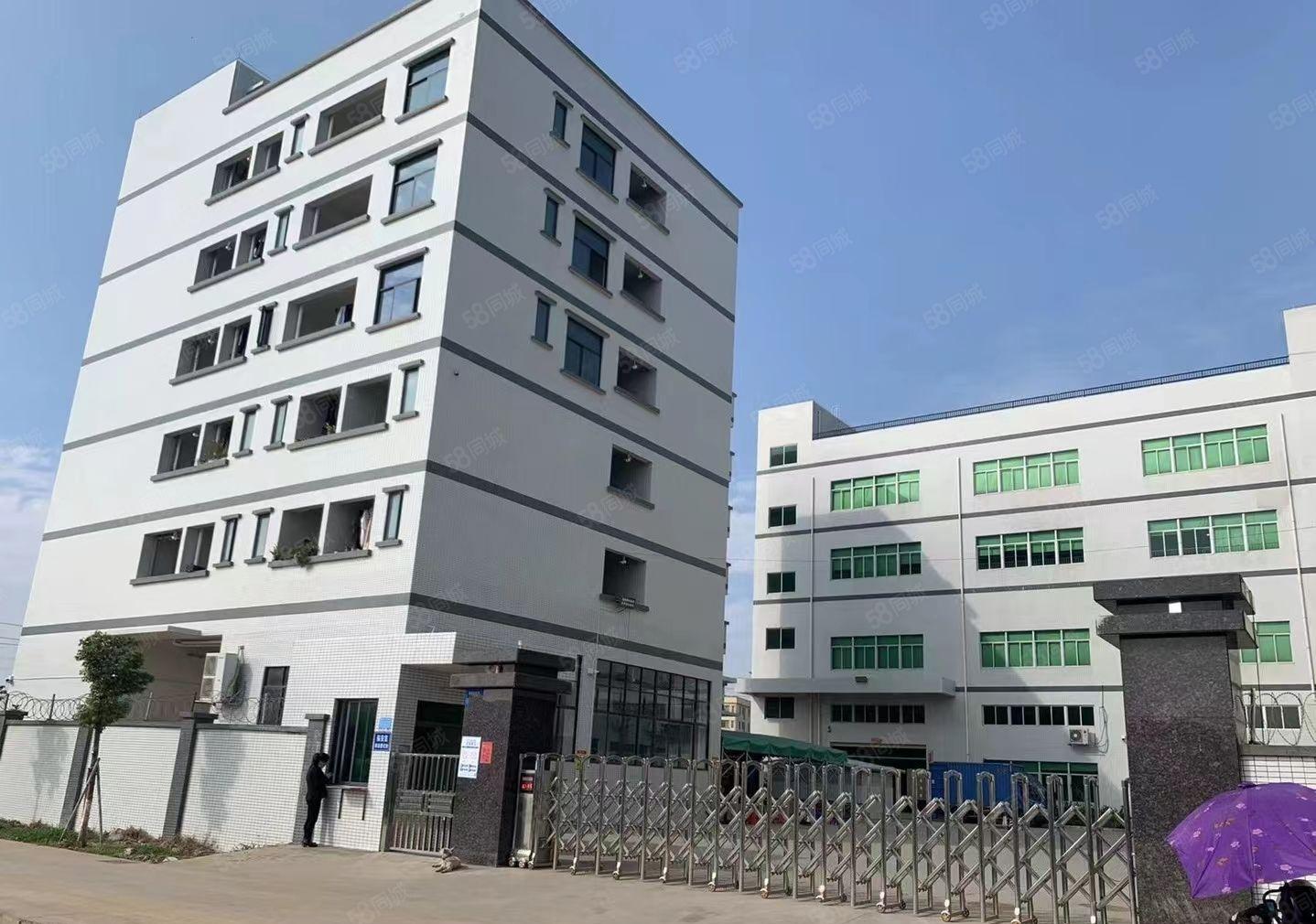 石岩外环龙大高速口独院厂房1~4层共13500平空地超大