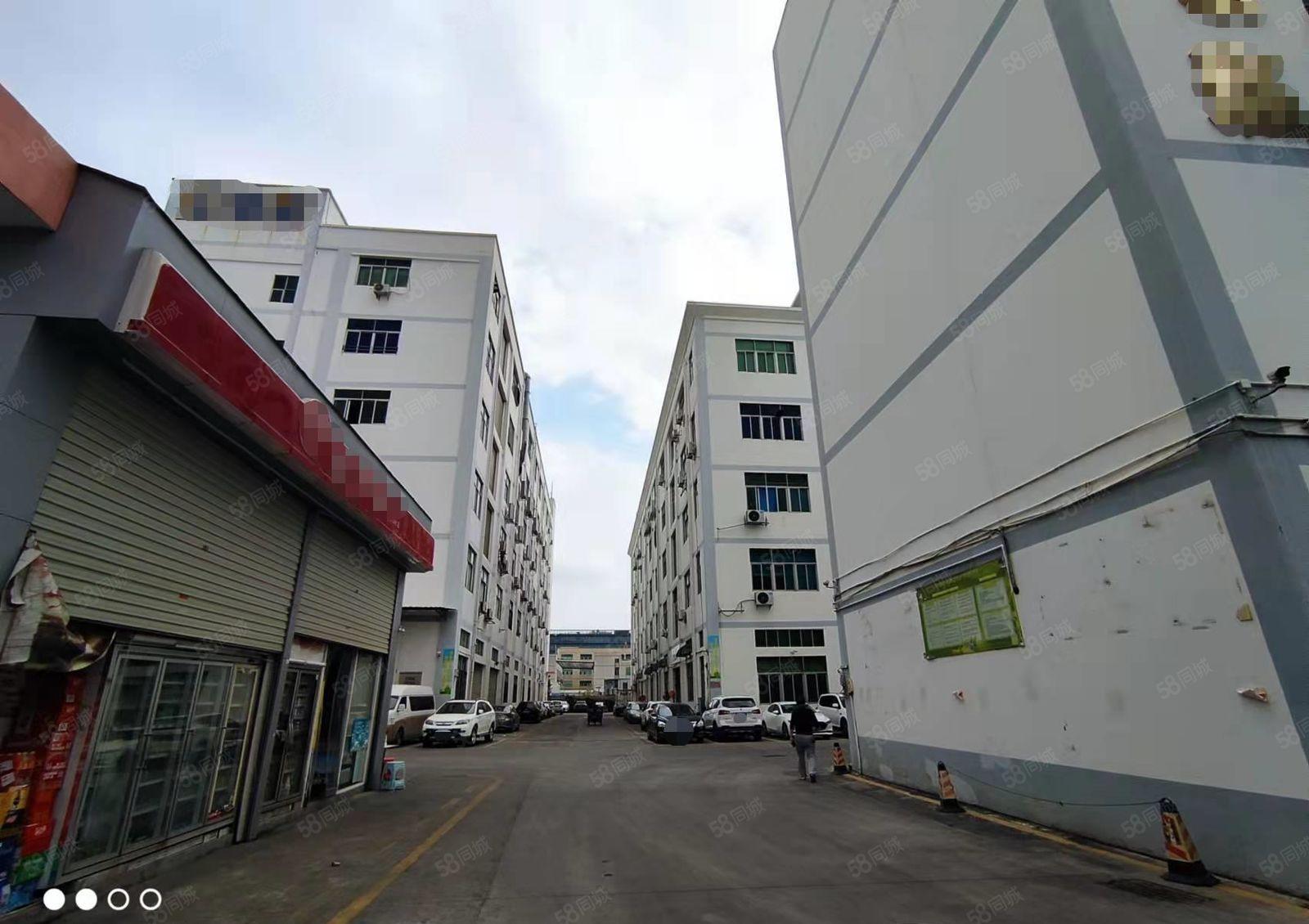 沙井新出楼上1000平厂房仓库出租大小分租