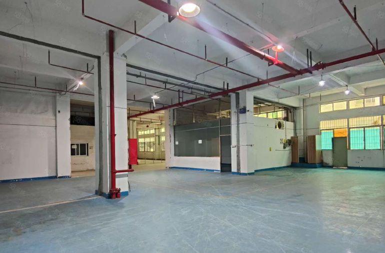 30元每平！实惠实用靓装1楼860平层高5.3米货车出入无忧