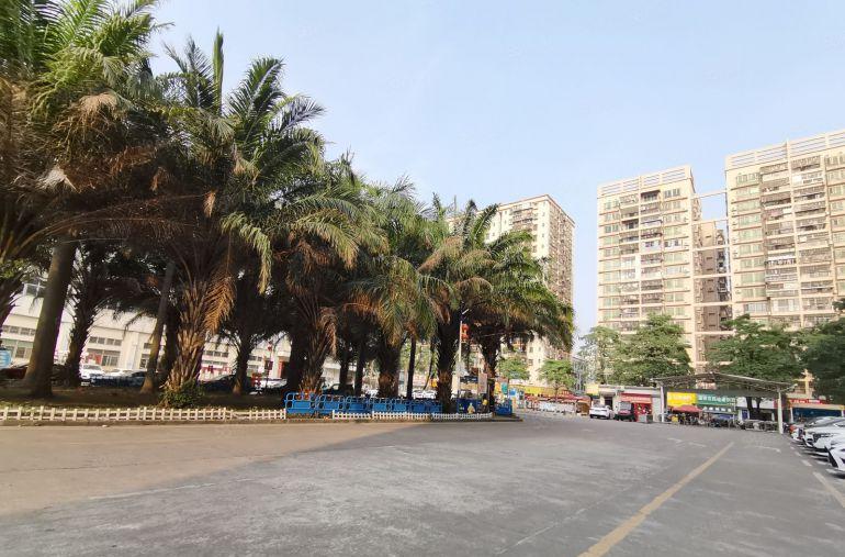 福永塘尾1450平方精装修无尘车间工业园区厂房低价出租