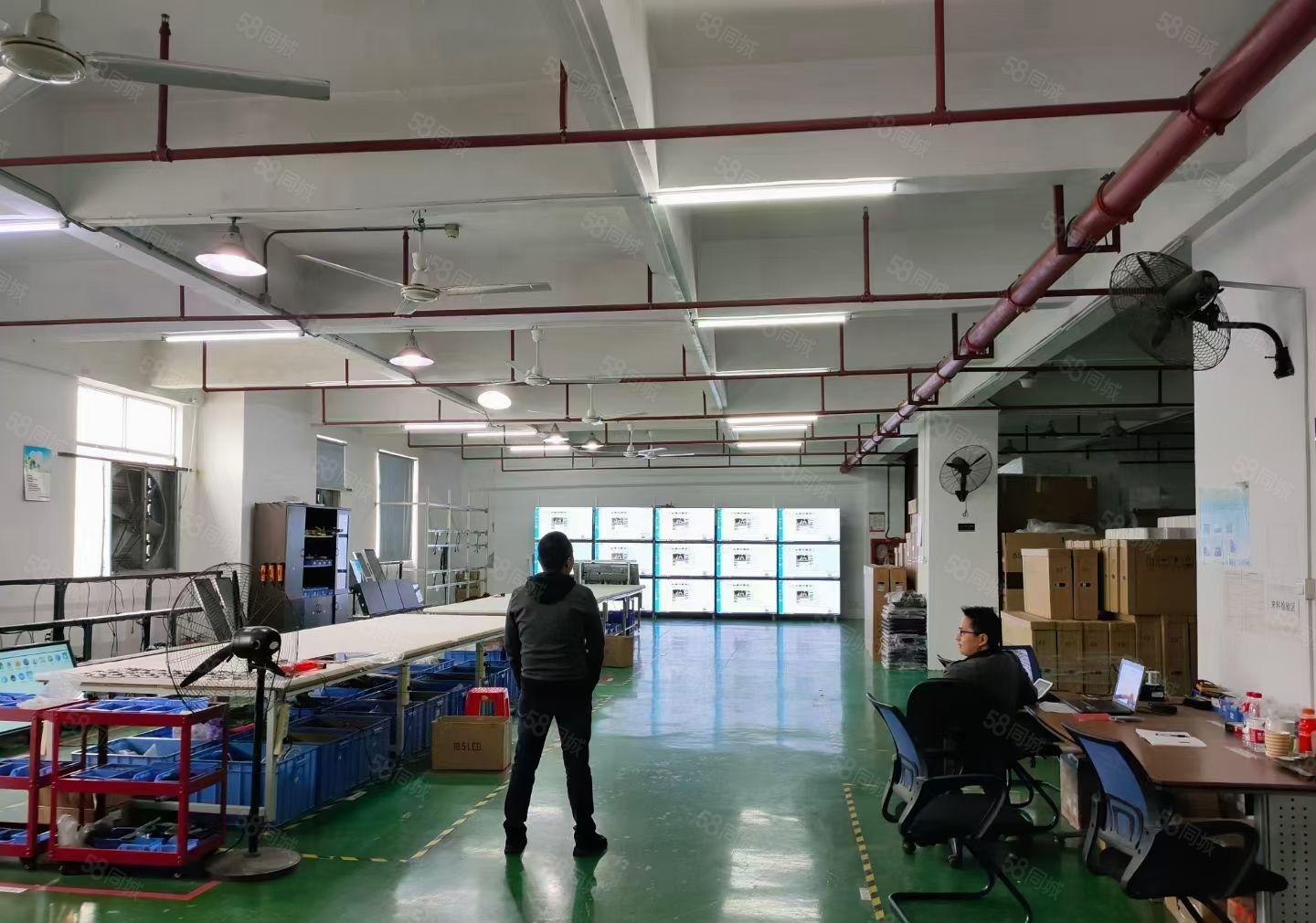 福永白石厦1000平方厂房出租带装修可分租转租办公研发生产