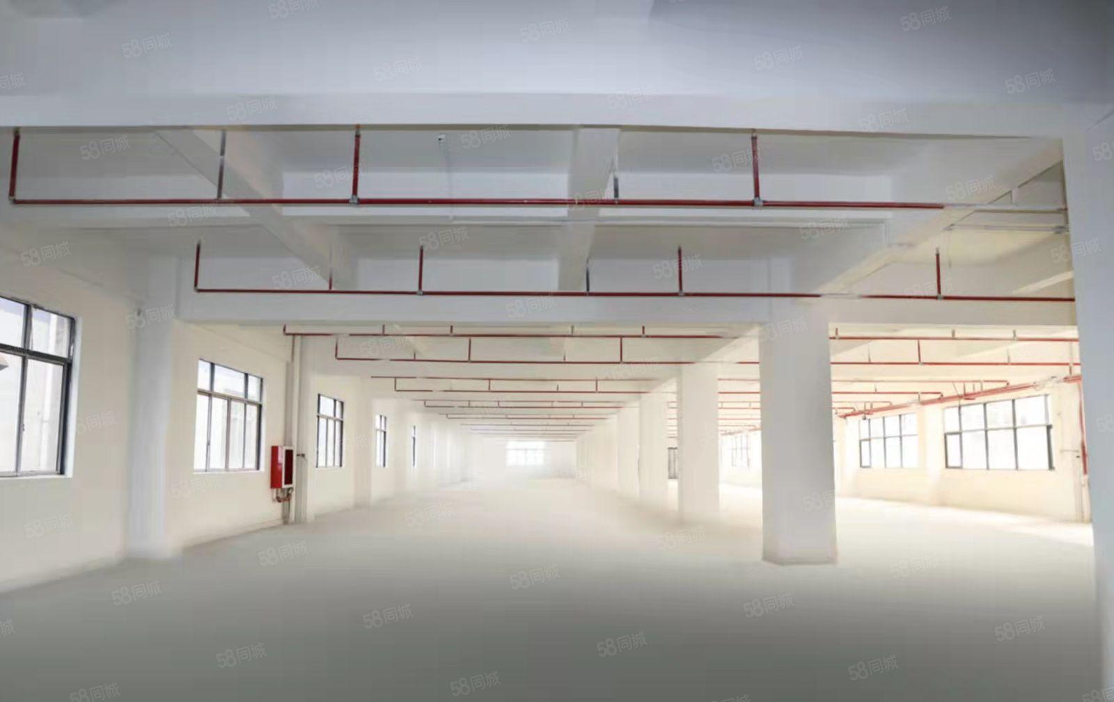 宝安固戍 精装厂房1780平米 带消防喷淋 采光通透