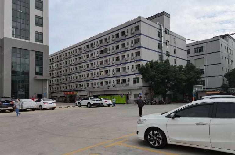 20元起租石岩塘头工业区厂房出租100平方起分租一楼仓库招租