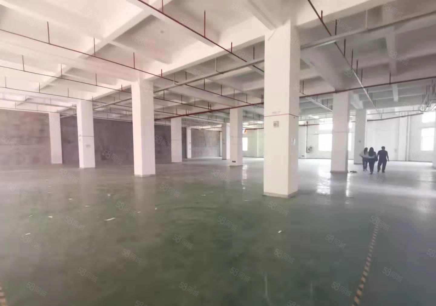 石岩洲石路附近原房东独门独院一楼1000平精装修厂房出租仓库