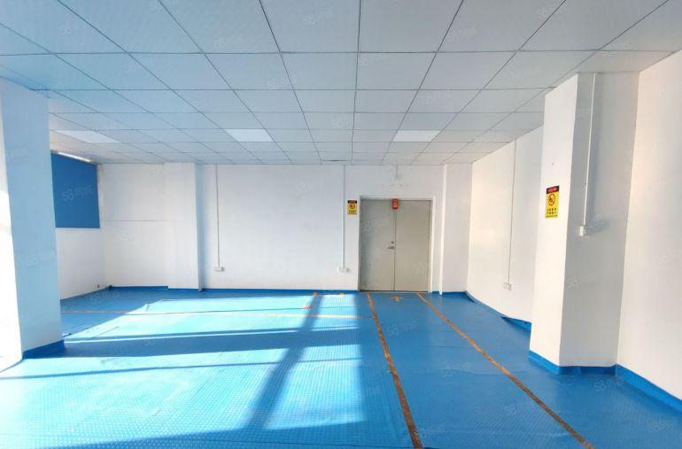 鹤洲洲石路，600平带装修厂房仓库出租，租金25元，水电齐全