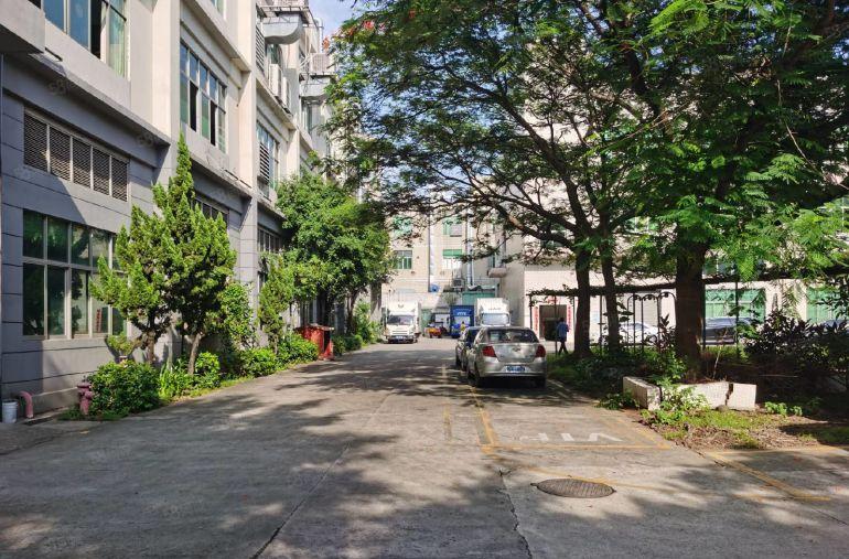 200平起租松岗车站附近厂房招租原房东可定制装修实际面积出租