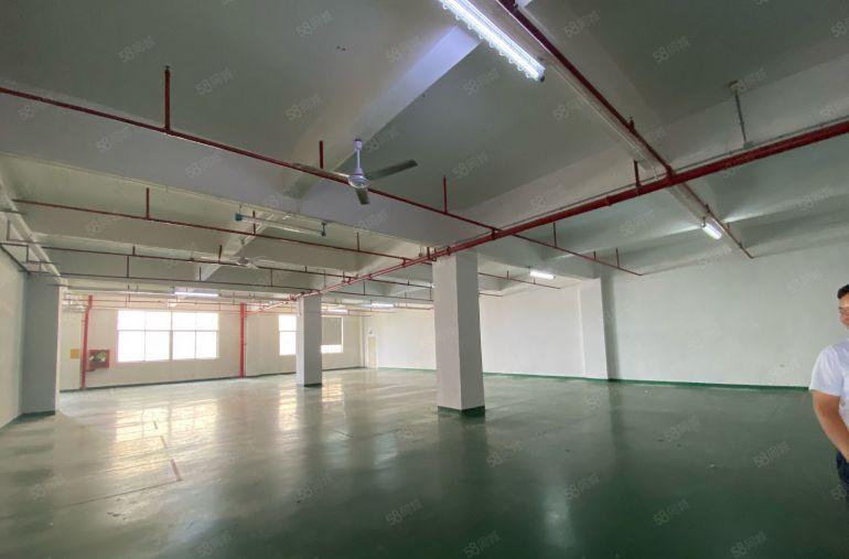 扶持企业发展宝安区特价小面积100500起政府指导价