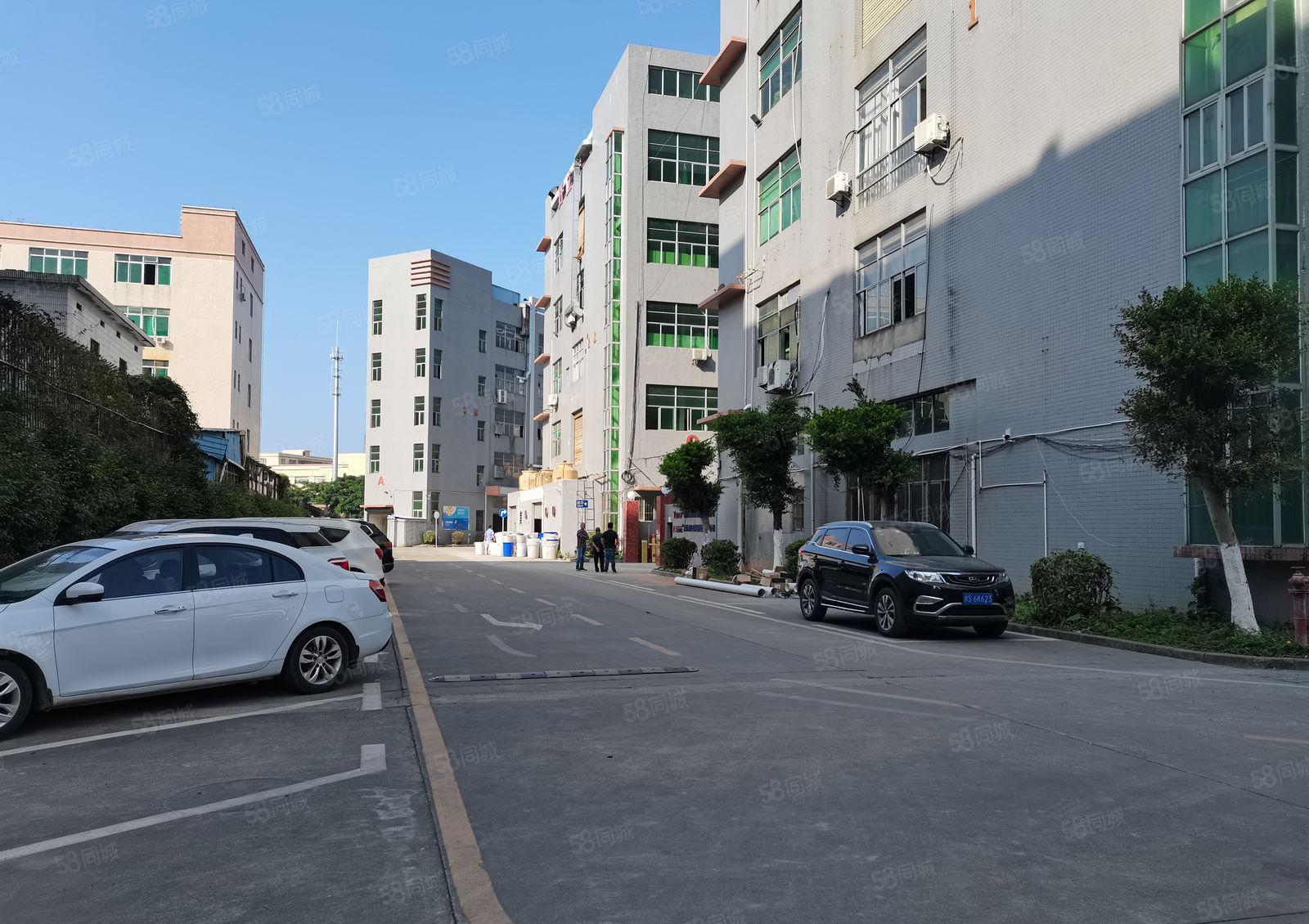 石岩石龙仔二楼2百5百1000平方带装修工业区厂房仓库出租