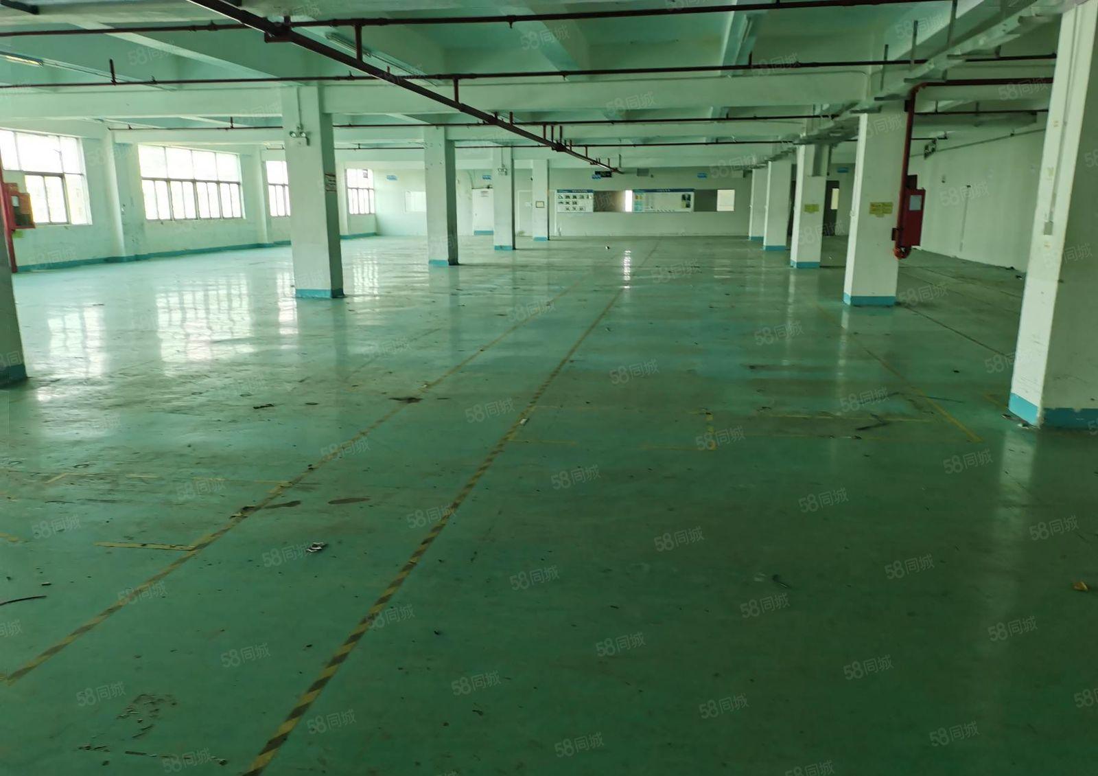 福永会展附近原房东300平至7500平低价仓库厂房出租