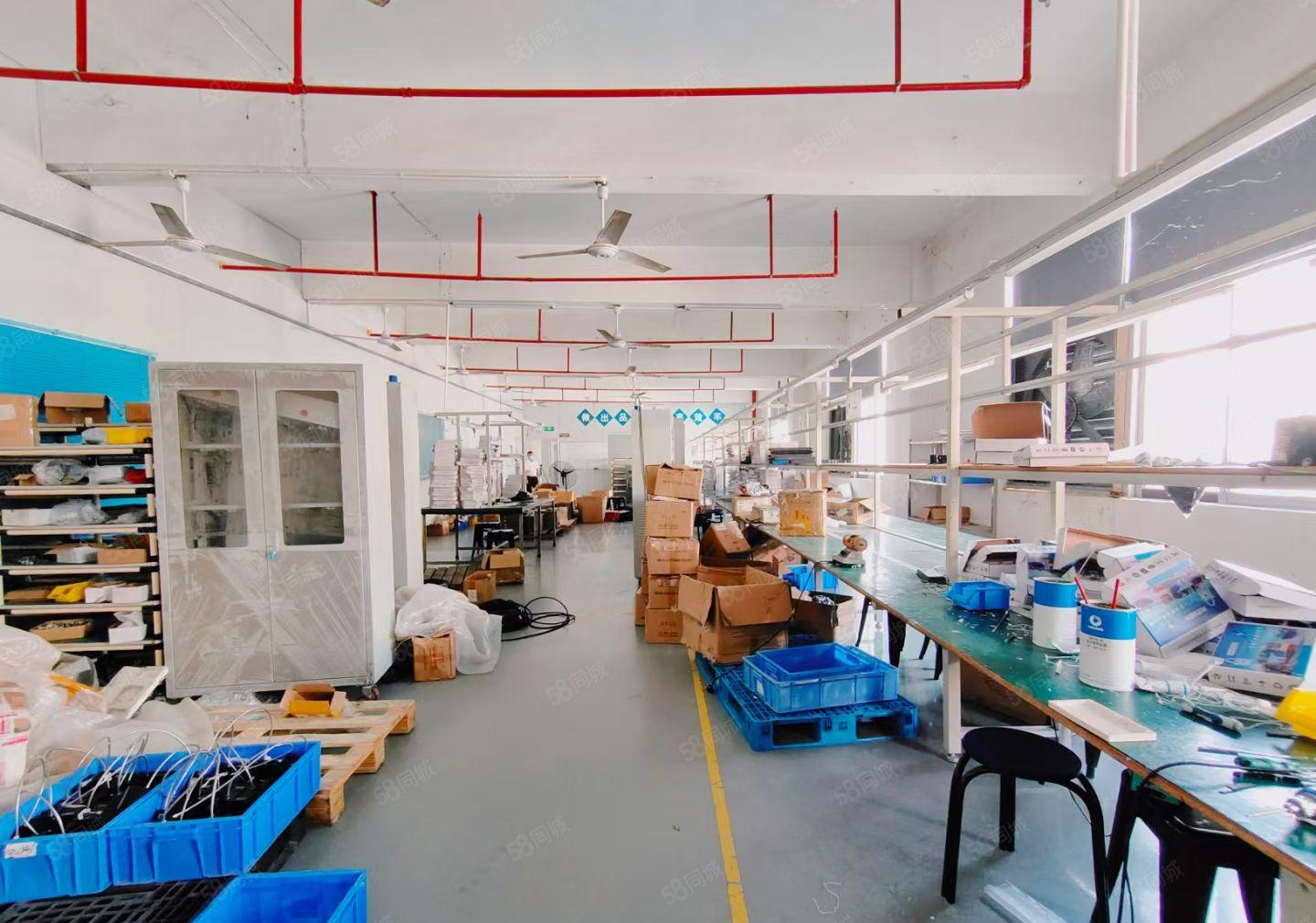 福永107边上700平原房东红本精装修厂房出租易招工交通便利