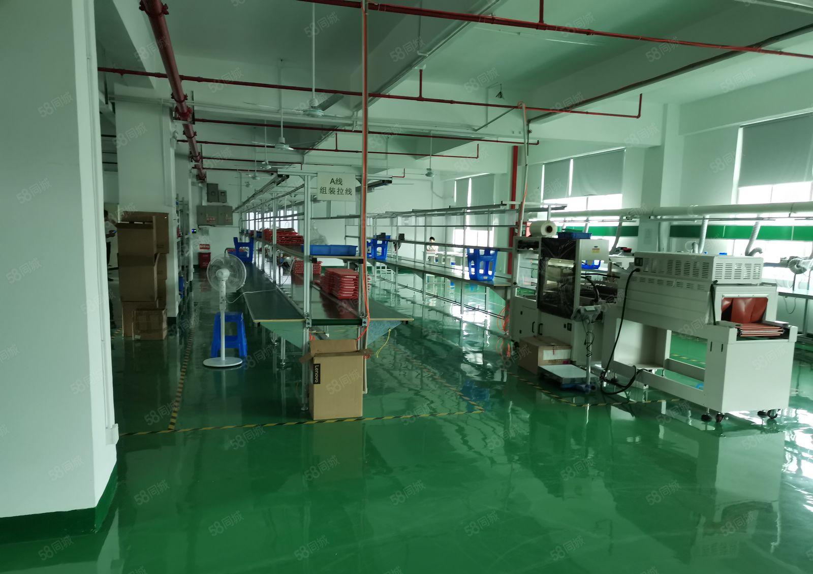 福永桥头新出20元楼上800平豪华装修无转让费