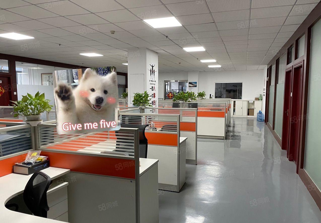 福永桥头地铁口200平至3000平厂房出租 精装修，拎包入住