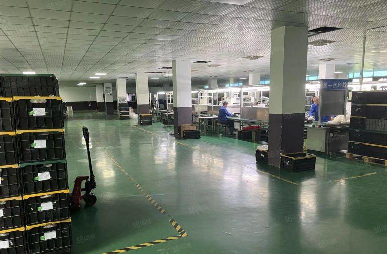 松岗独院厂房出租3层5500平米实际面积，高度6米 大小分组