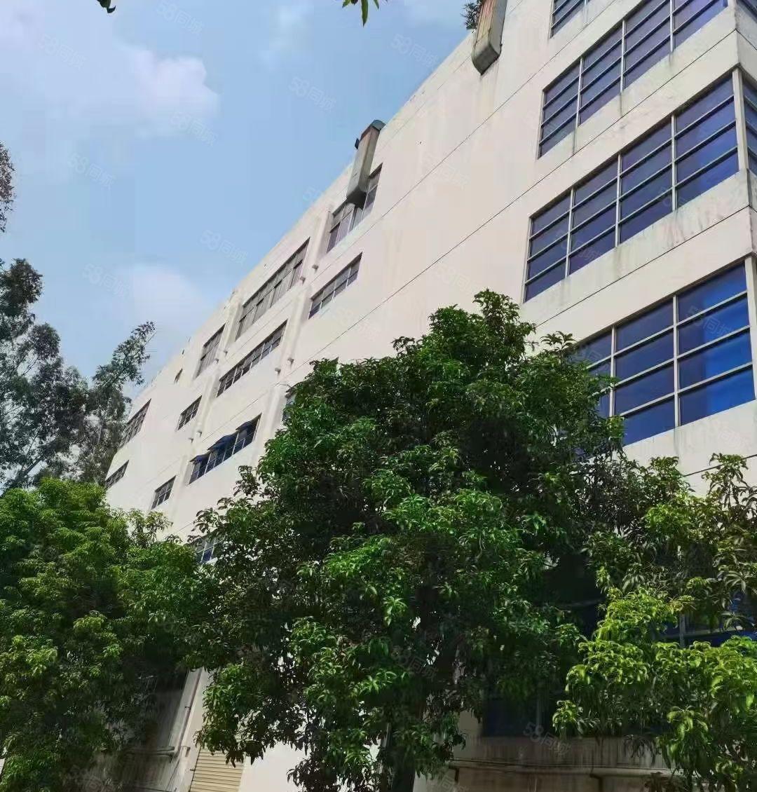 宝安西乡1000平方起租原房东厂房