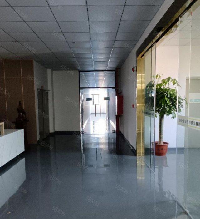 沙井马安山工业园附近800平厂房出租精装修办公电子设备组装