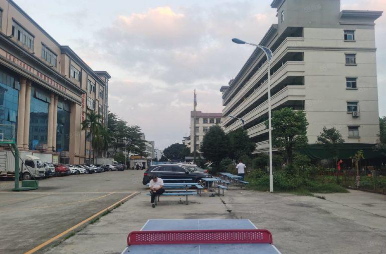 200起租沙井车站附近独院15000平带装修带红本过环评