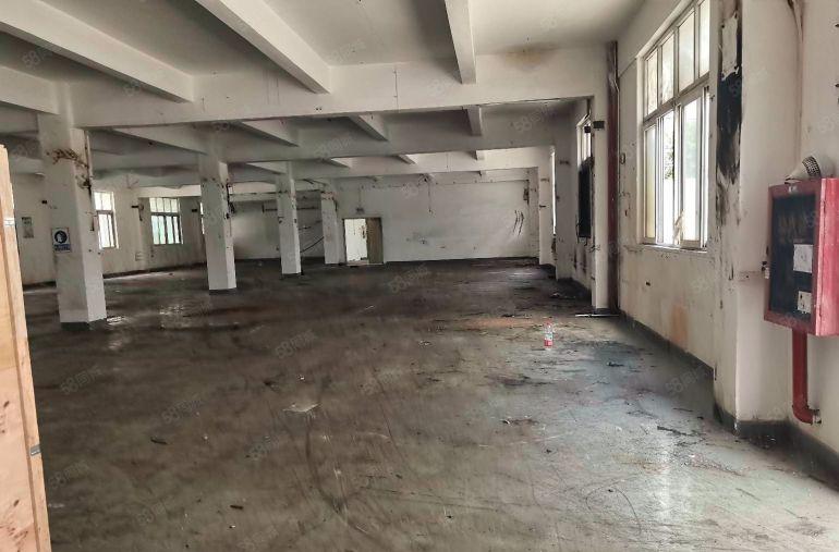 宝安松岗107国道上红本厂房带5吨电梯直租好进拖头仓库