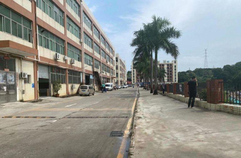 西乡新出500至1200平原房东厂房仓库出租 使用率高价格低