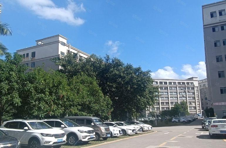 直租宝安高薪园区1000平可补贴租金可分组免中