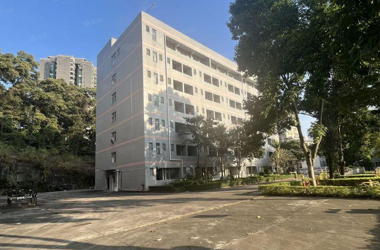 石岩地铁口 原房东独院实际面积10000平米 出租