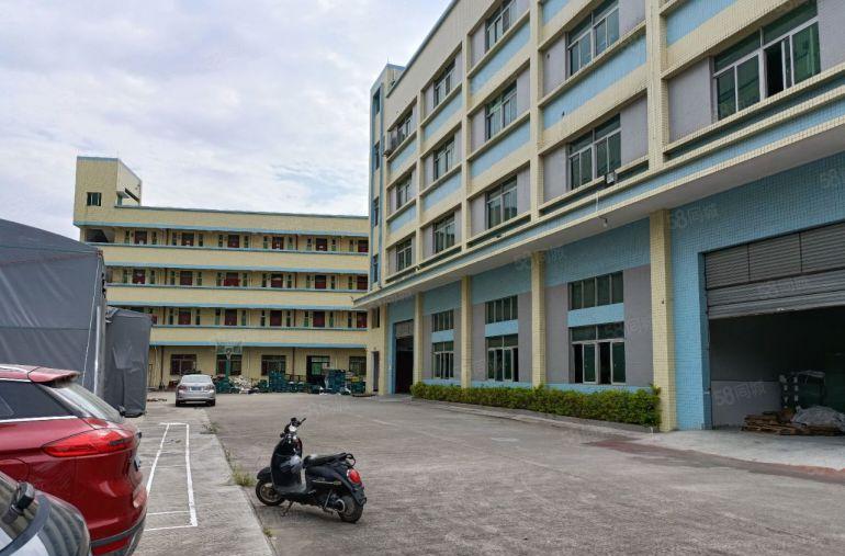 新和桥头塘尾独门独院厂房4800平方出租500起分租