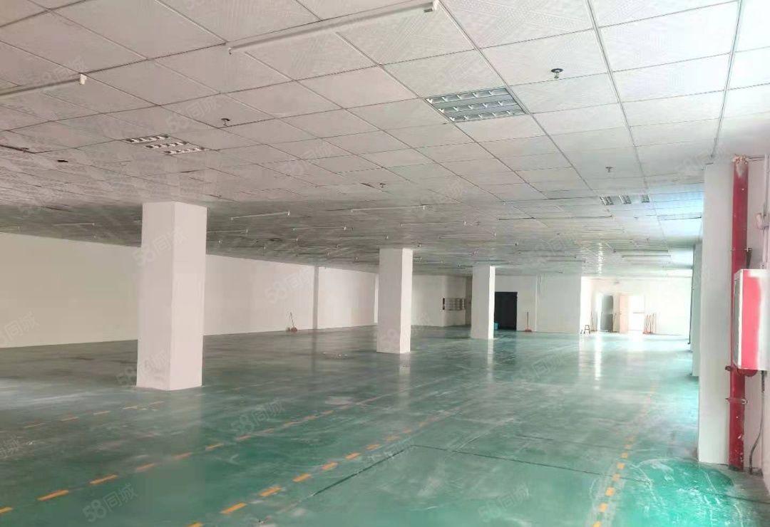 西乡九围2楼厂房仓库招商1800平28元1平可进大车免租期长