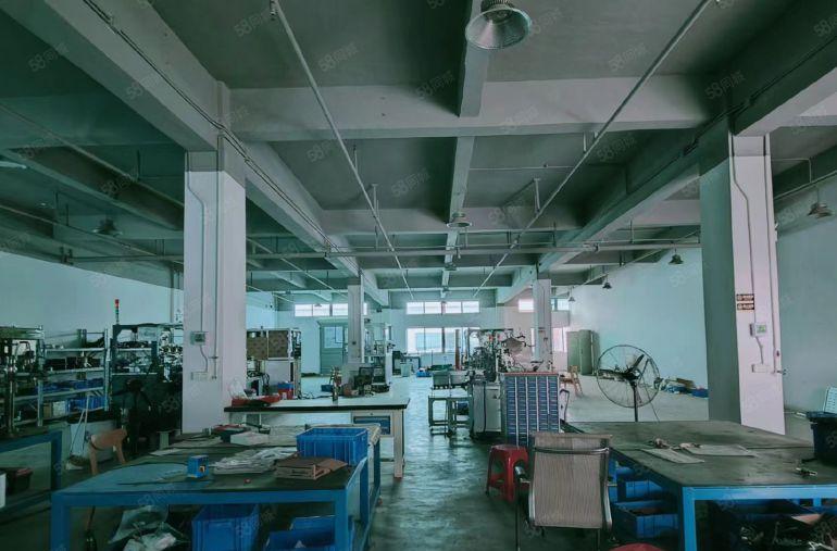 实惠实用1楼1000平带精装办公室亮丽车间仅租35元每平