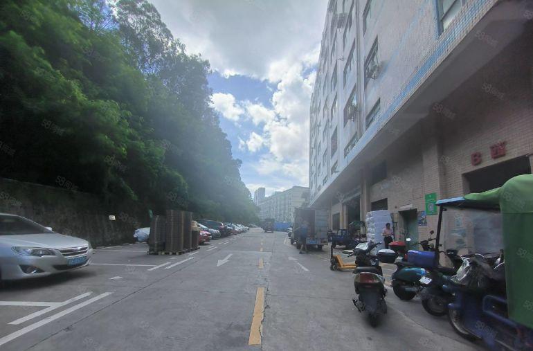 西乡流塘电商基地精装修厂房出租200平方起分有客梯有货梯