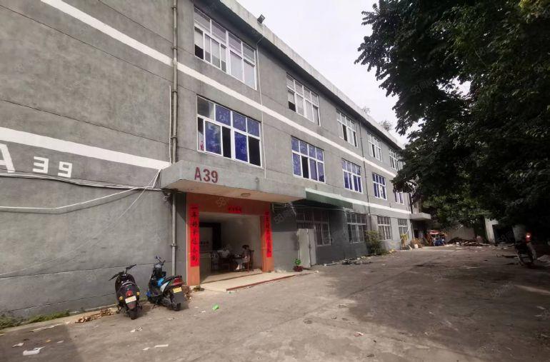 石岩独门独院4000平厂房低价出租研发办公电商仓库组装分租