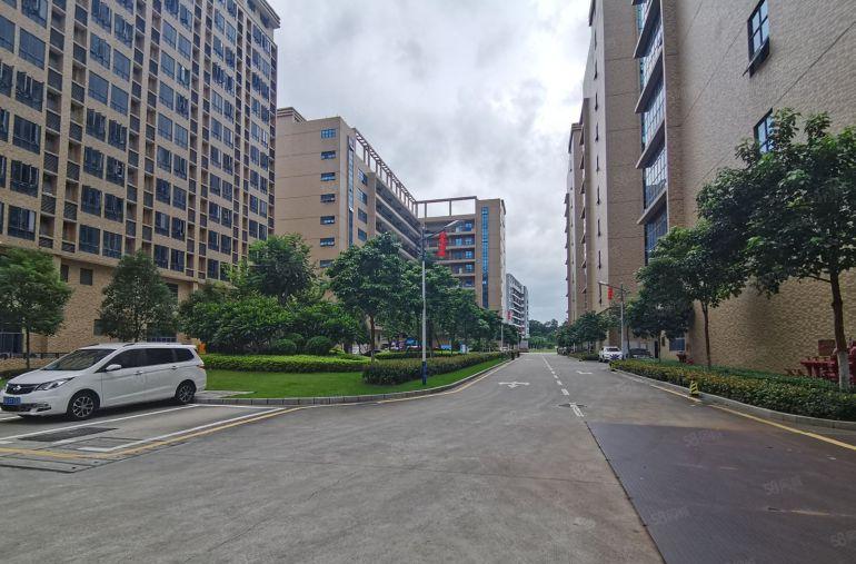 出租深圳宝安1000平方花园式厂房仓库出租