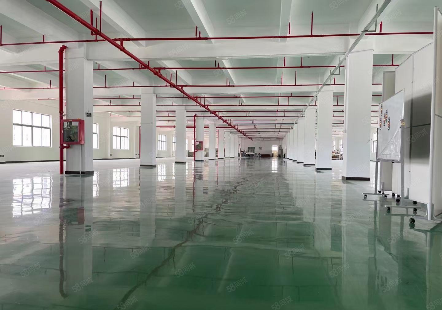 松岗独门独院厂房 送空地，送院子，适合任何行业