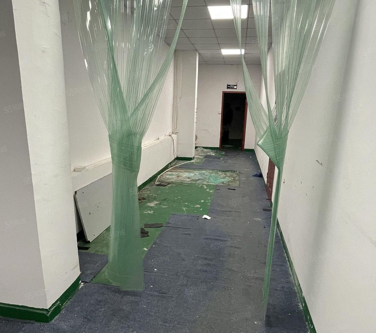 西乡鹤州原房东一楼267平