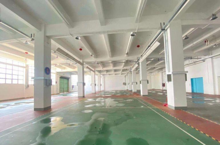 低价村委厂房 西乡固戍8000平高新园区生产办公研发厂房仓库