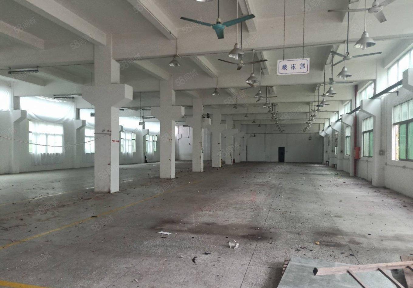 沙井黄埔独院3300平方厂房仓库出租可以分租能办环评交通方便