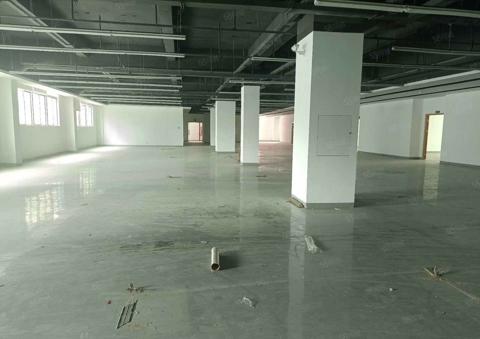 松岗地铁站红本厂房出租1300平办公仓库厂房出租分租可办环评