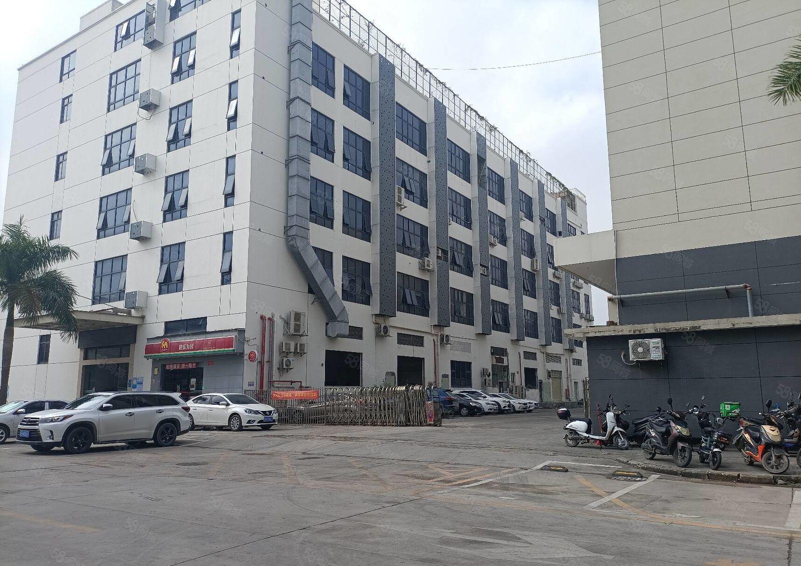 松岗地铁站红本厂房出租1300平办公仓库厂房出租分租可办环评