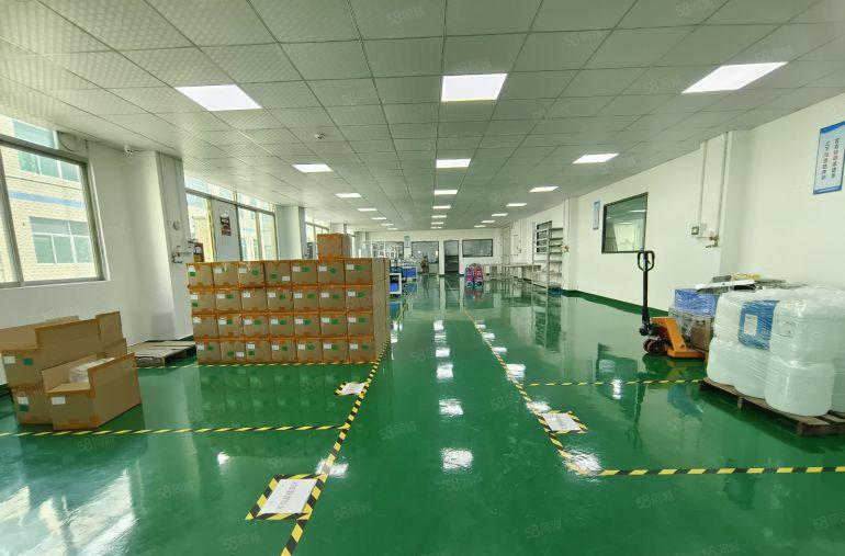 300平起分 松岗厂房出租独院2000平方带装修水电齐全