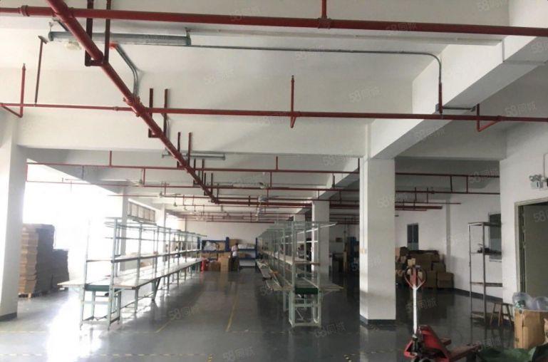 宝安松岗沙浦围地铁口新出贸易仓库整层厂房出租4400平，可分